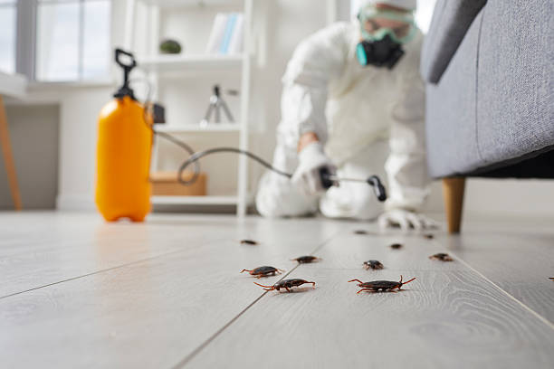 Trusted Rodent Control service in Montgomeryville, PA - Nex Pest Control